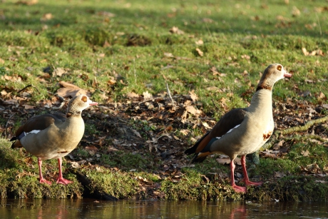 daar bij de waterkant...