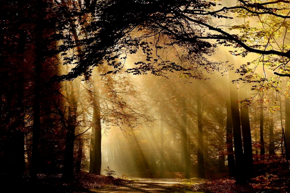 De lente in aantocht - Weer en landschap - 