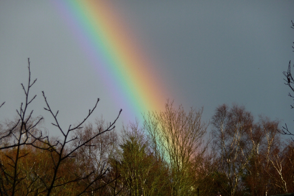 Dichtbij - Weer en landschap - 