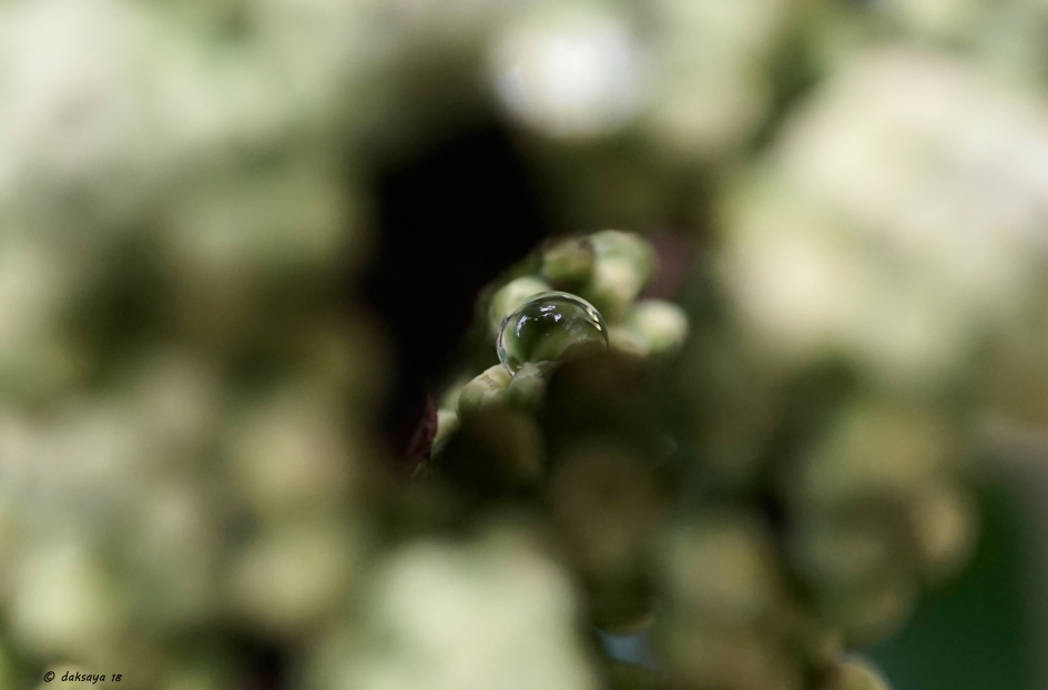 Doorkijkje - Weer en landschap - 