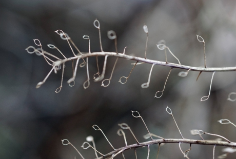 Doorluchtige droogheid