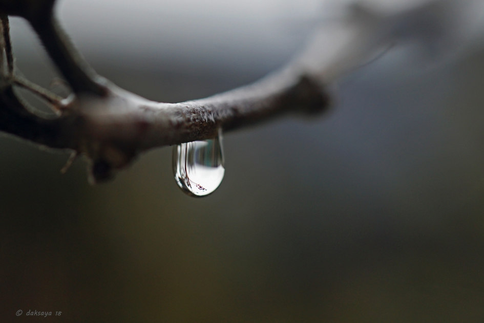 Druppel zonder emmer - Weer en landschap - 