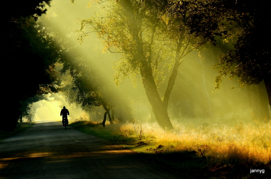 een bundel licht. - Weer en landschap - 