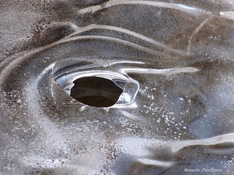 Een oog kijkt je aan, lijkt het wel.