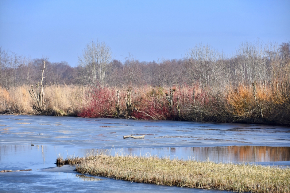 Gekleurde begroeing - Weer en landschap - 