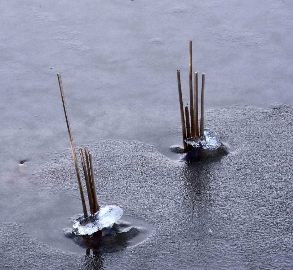 Het laatste ijs! - Weer en landschap - 