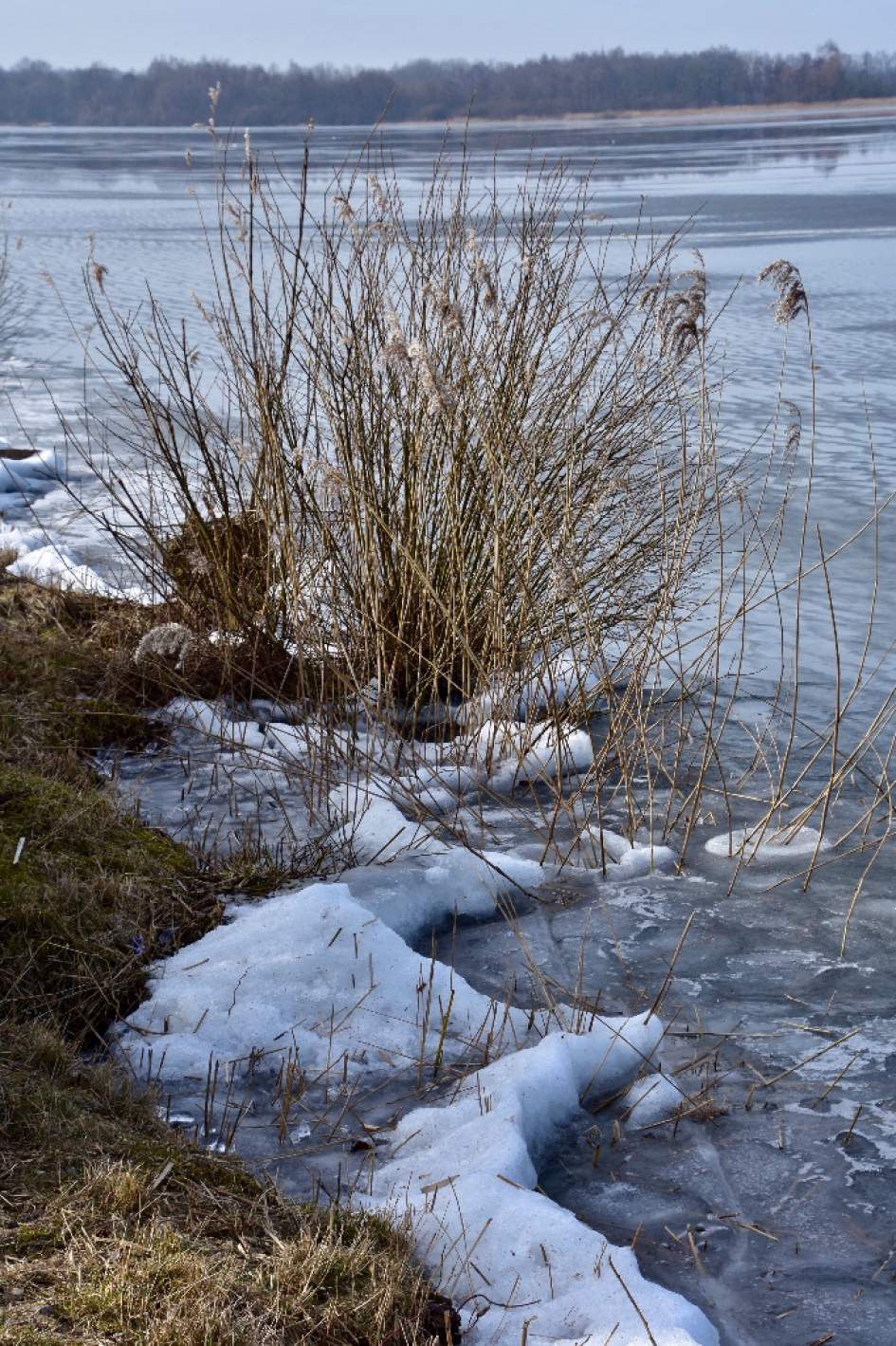IJs - Weer en landschap - 