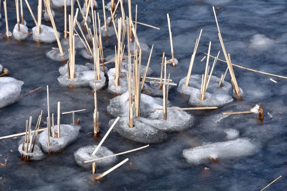 IJssculpturen - Weer en landschap - 