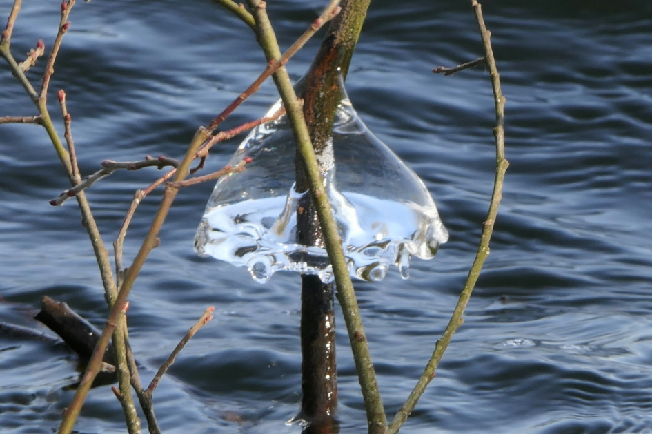 Ijspaddestoel - Weer en landschap - Ijssculptuur