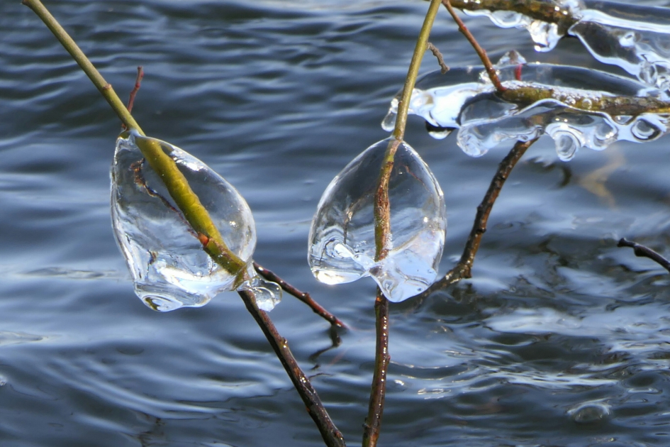 Ijssculptuur - Weer en landschap - Ijssculptuur