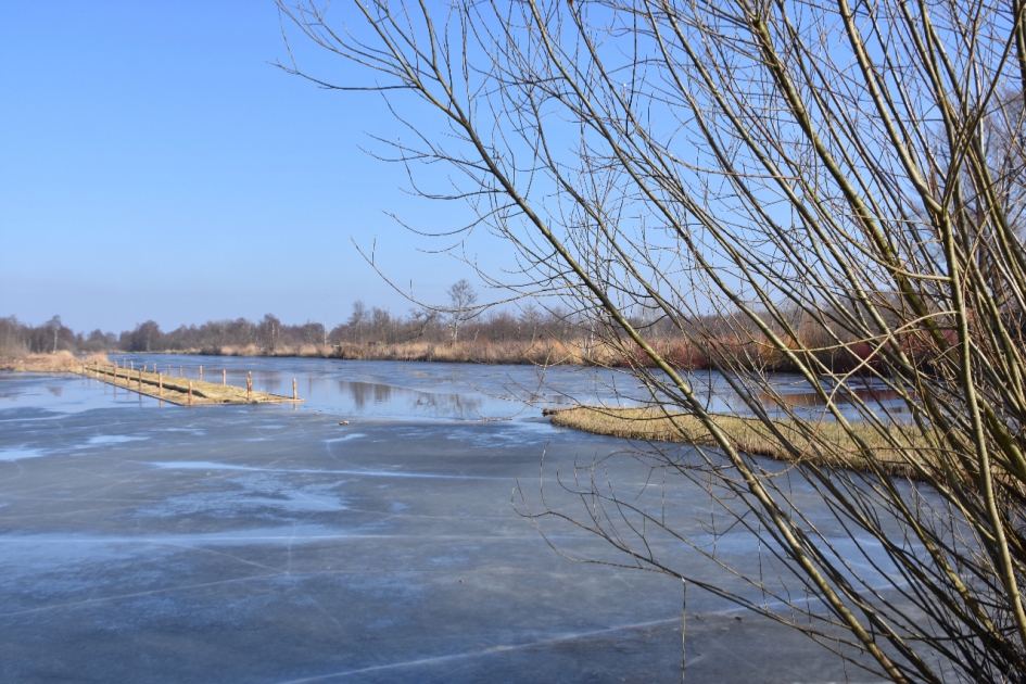 Molenpolder (2) - Weer en landschap - 
