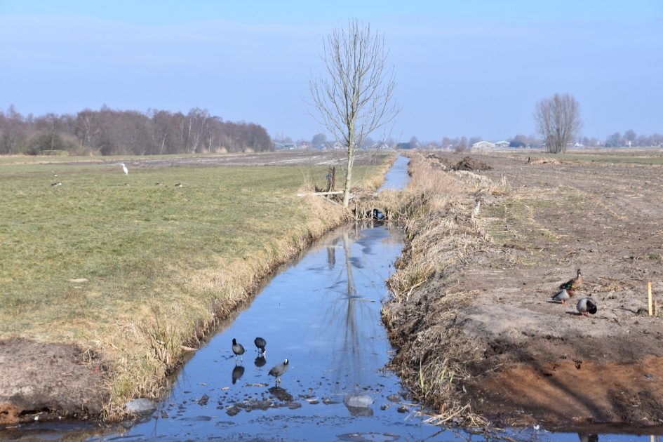 Molenpolder - Weer en landschap - 