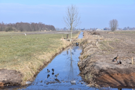 Molenpolder