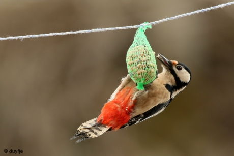 Mooi rood is niet lelijk