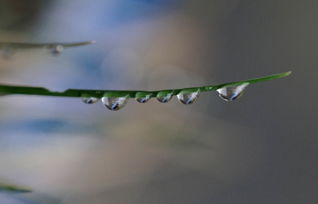 Op een rijtje hebben