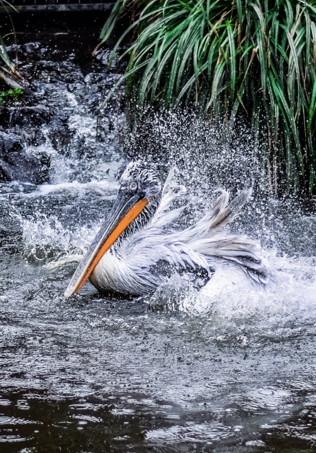 Shake it off