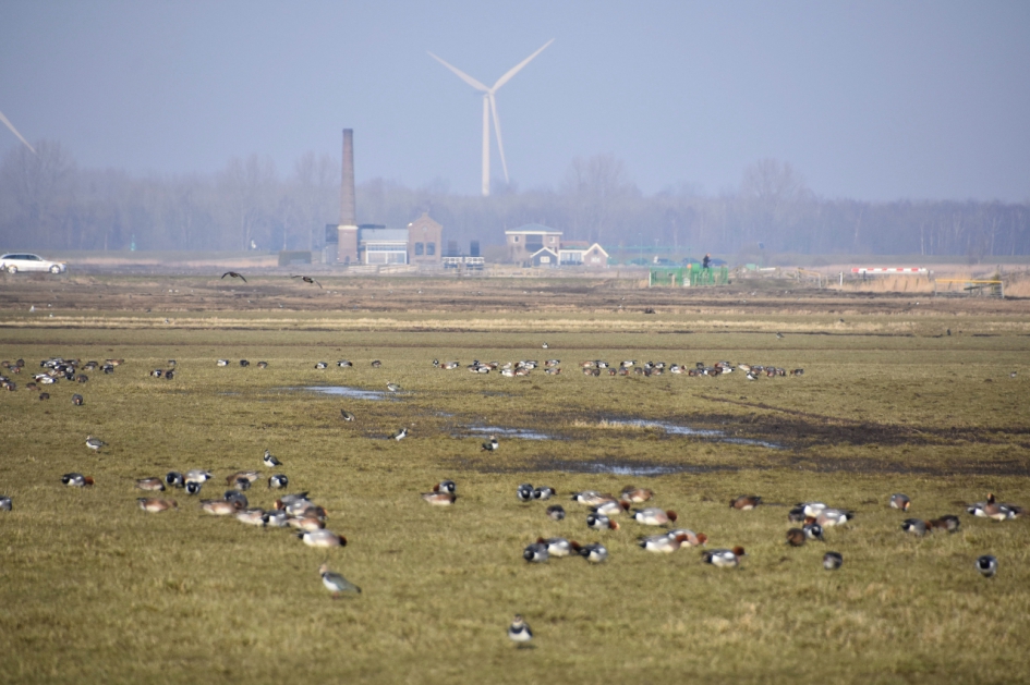 Stoomgemaal Hertog Reynout - Weer en landschap - 