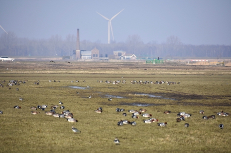 Stoomgemaal Hertog Reynout