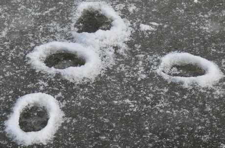Vossenspoor in het ijs?