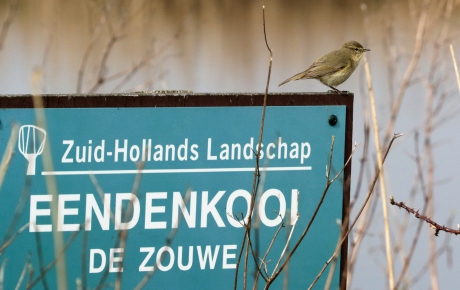 Even reclame maken..