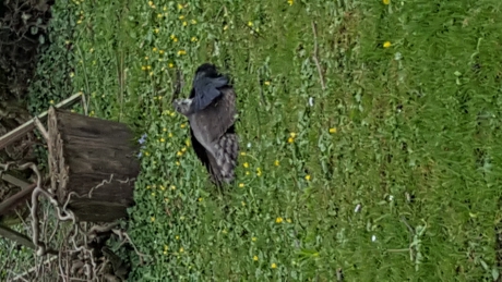 Gevecht in eigen tuin.