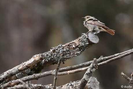 Ik waai uit mijn jas.