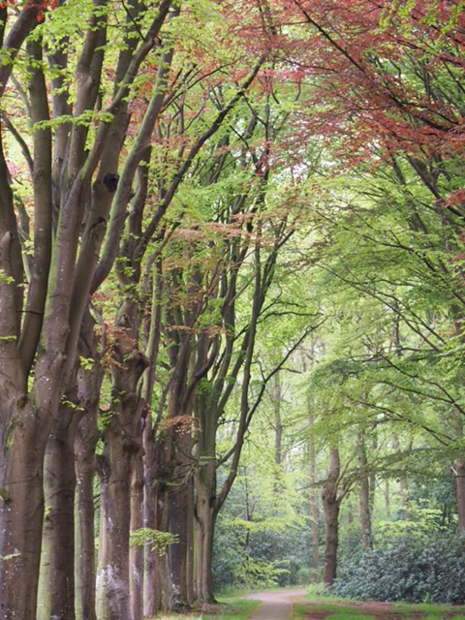 Pril - Weer en landschap - 