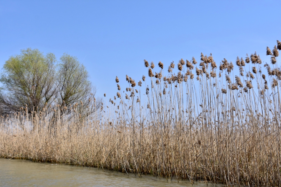 Riet - Weer en landschap - 