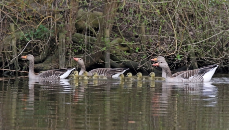 Weer volop aanwezig..