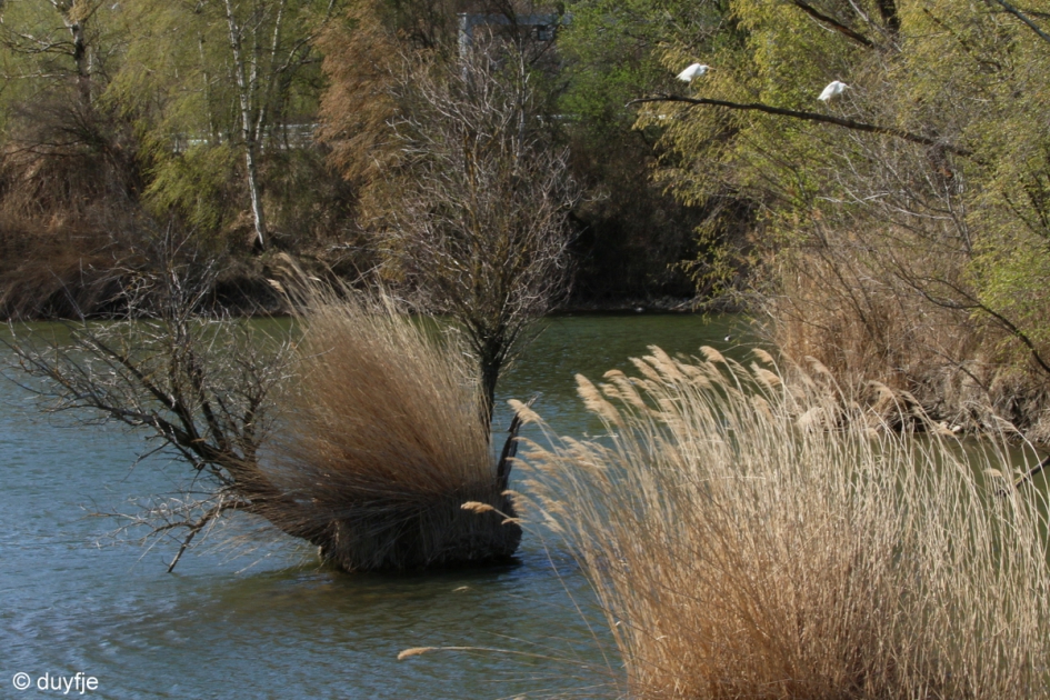 Wind - Weer en landschap - 