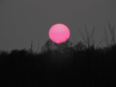 Zonsondergang in de Engbertdijksvenen