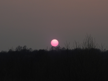 Zonsondergang in de Engbertdijksvenen