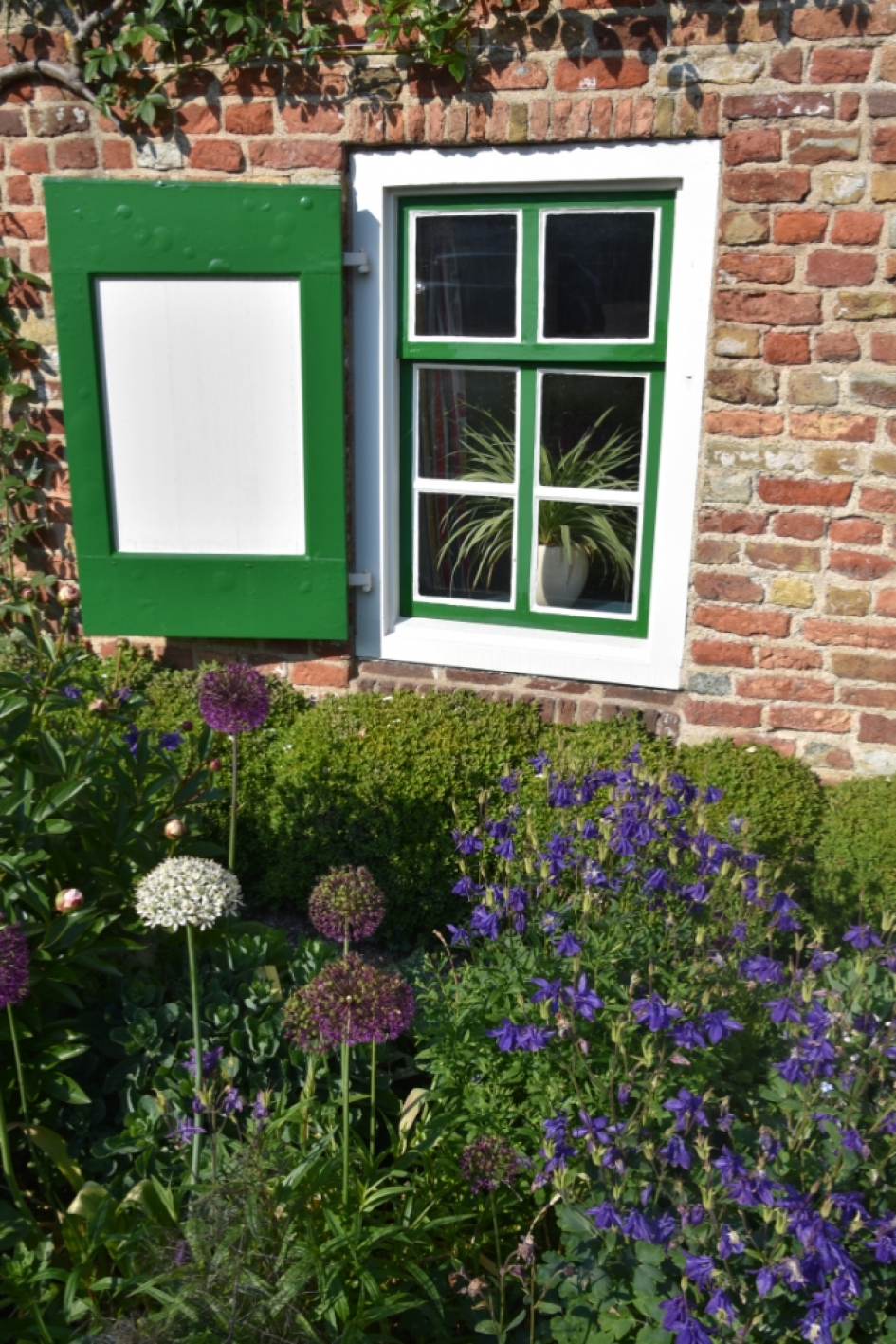 Boerentuintje - Planten - 