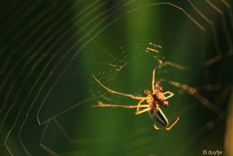 Inpakken en wegwezen