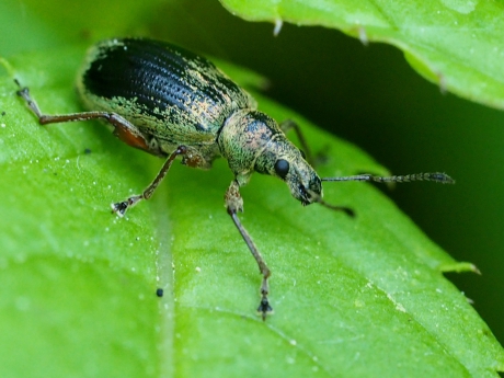 Lichtval of wat slijtage?