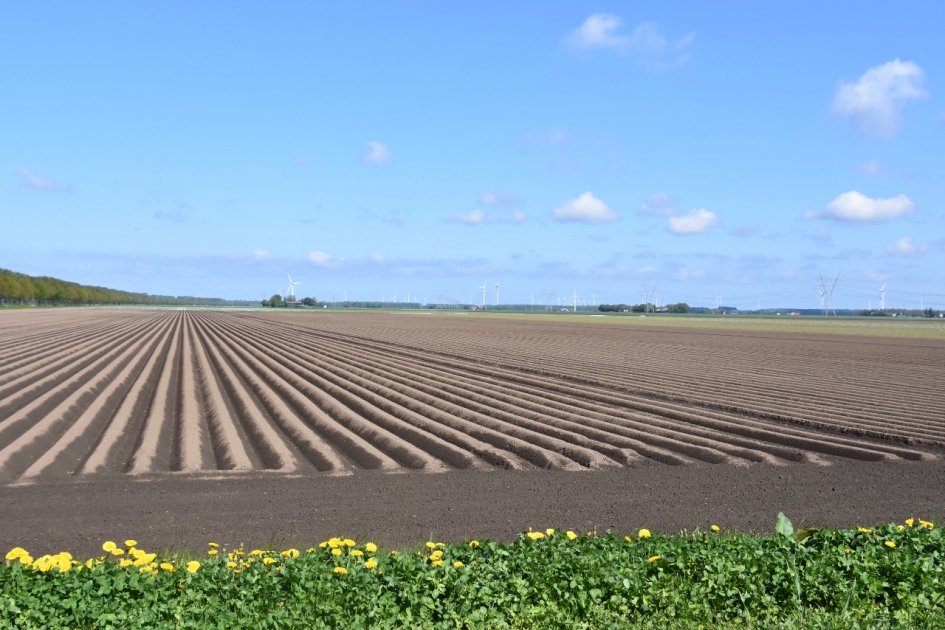 Mooie lijnen - Weer en landschap - 