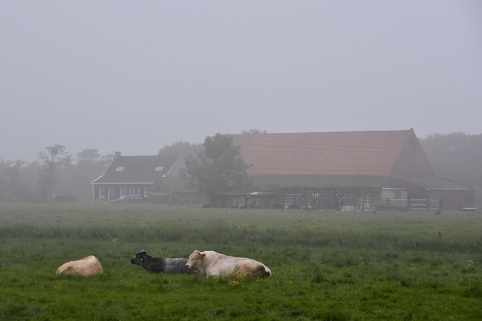 Nog erg vroeg! - Zoogdieren - 