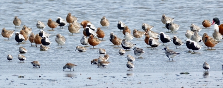 Op doorreis in zomerkleed