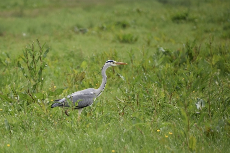 Op zoek naar iets lekkers