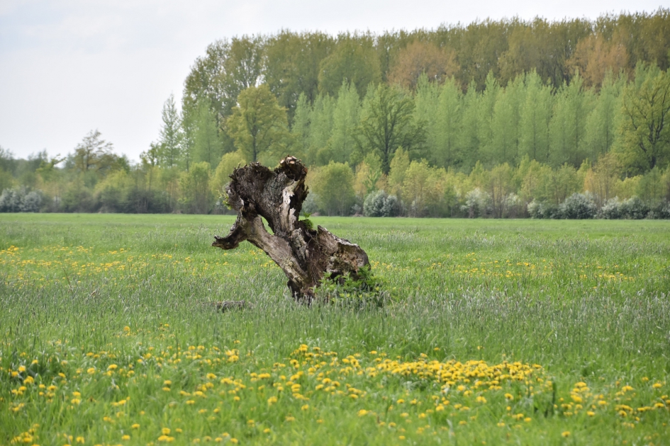 Overlangbroek - Weer en landschap - 