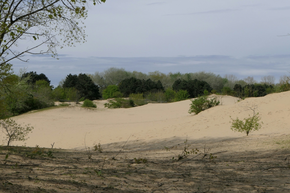 Sahara - Weer en landschap - Duinlandschap