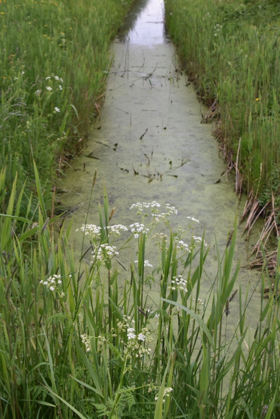 Slootje - Weer en landschap - 