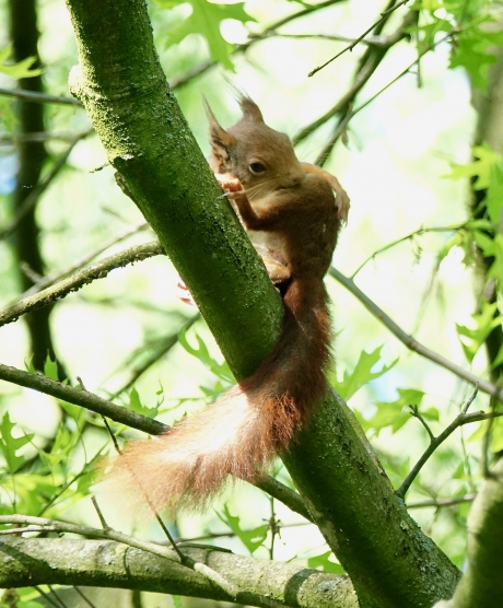 Waar jeuk is moet je krabben