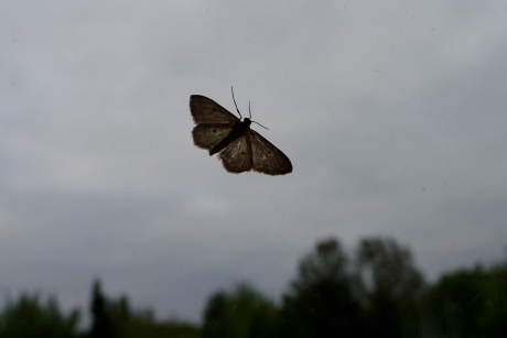 Aan de buitenkant van het raam