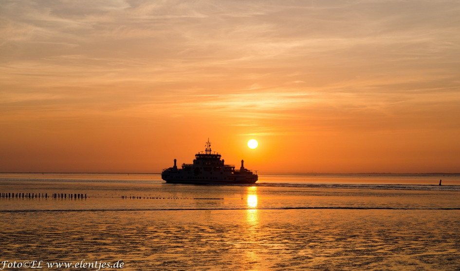 ameland in zonsondergang - Weer en landschap - 