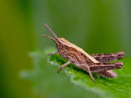 Blijft wat prehistorie