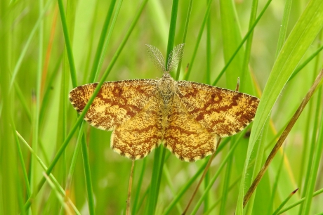 Dat noemt zich gewoon....