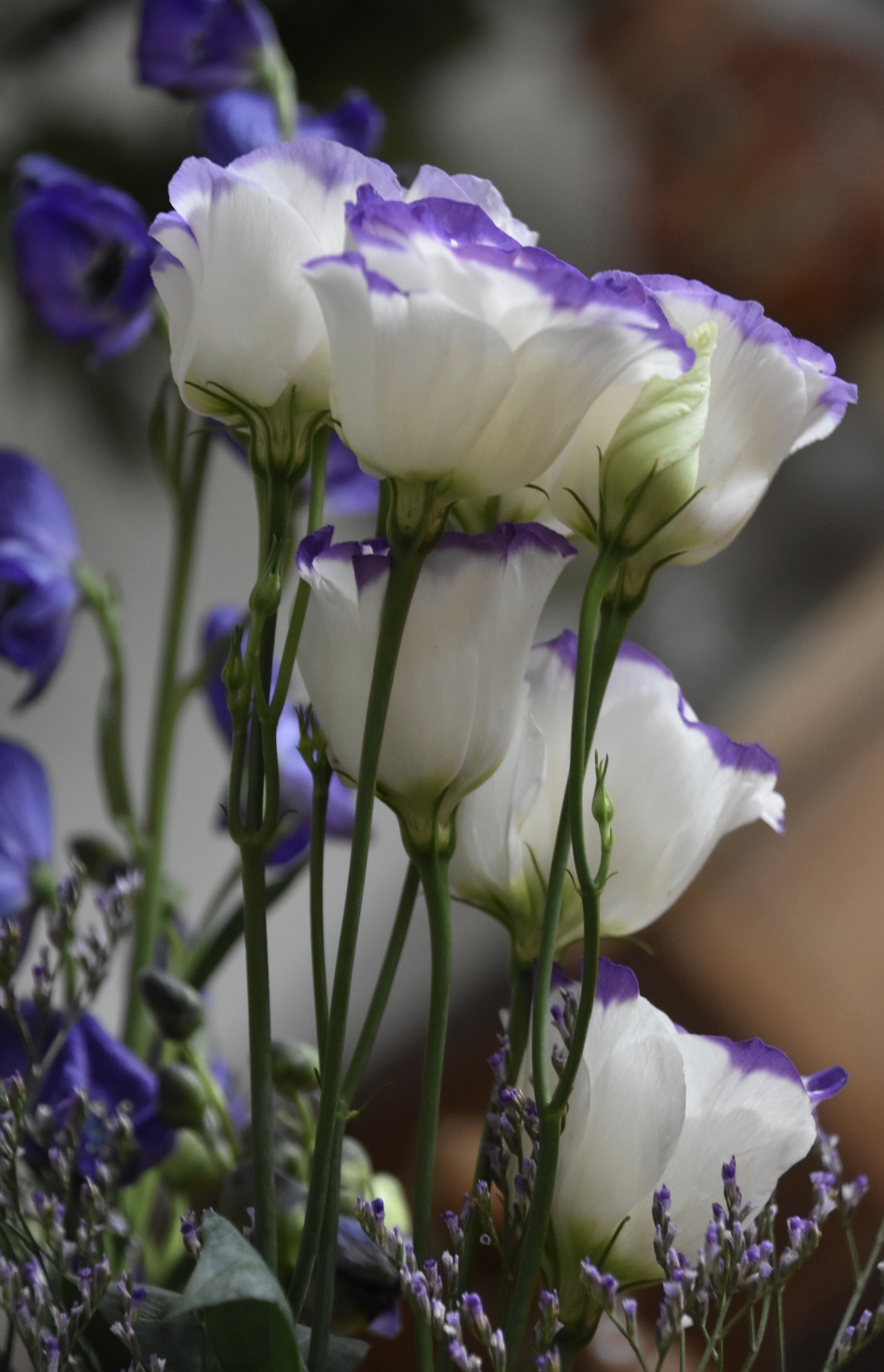 In een boeket - Planten - 