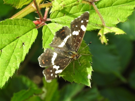 Landkaartje bovenaanzicht