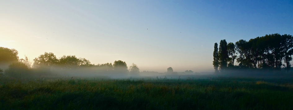 Ochtendnevel boven de rivier - Weer en landschap - 